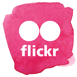 🌸My Flickr Profil🌸