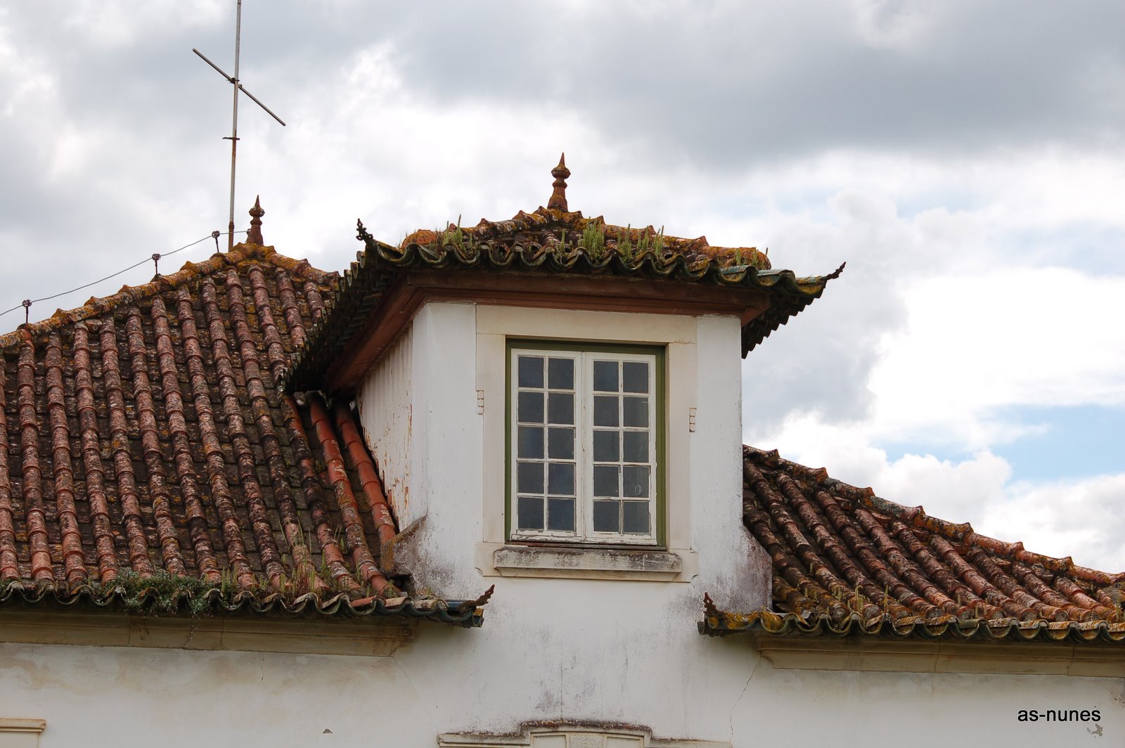 DISPERSAMENTE... Cortes Leiria Quinta do Cónego