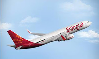 Check Spicejet Pnr Status Flight Pnr Status