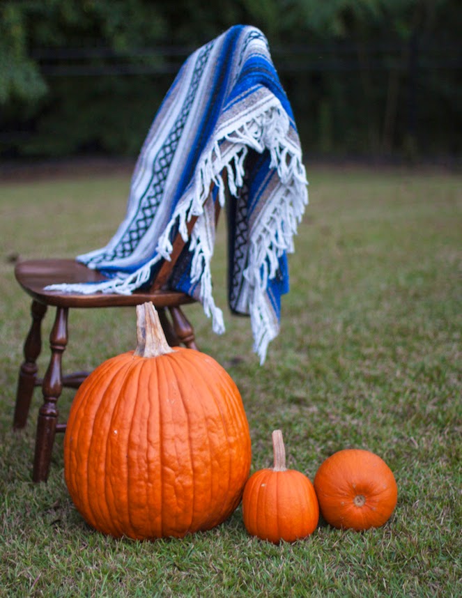 Tips for Hosting a Fabulous Fall Outdoor Party