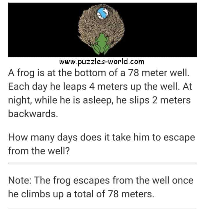 Frog in the well Puzzle