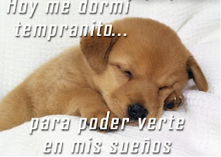 Imagenes de Amor Tiernas de Animales-Imagenes de amor Imagenes de Amor