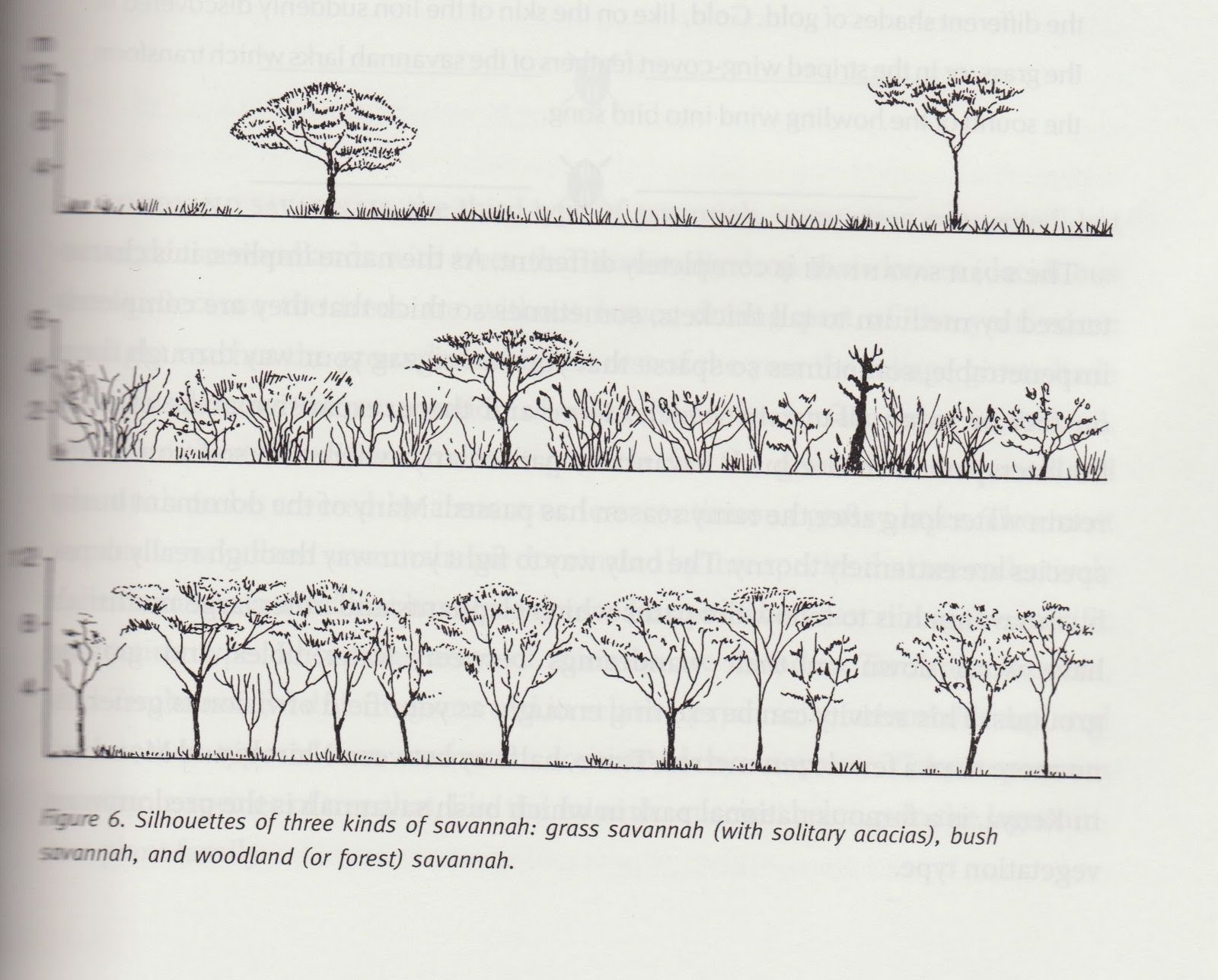 African Savannah Location and Classification