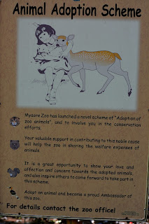 Animal adoption Animal adoption
