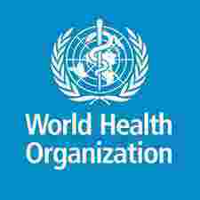 New Job Vacancy United Nations (UN) at WHO Tanzania - Consultant