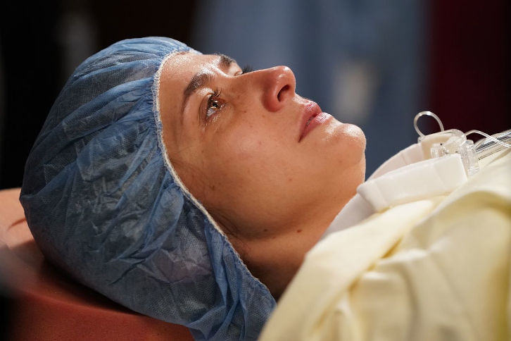 Grey's Anatomy - Episode 16.17 - Life on Mars? - Promo, Promotional Photos + Press Release