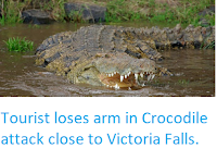 http://sciencythoughts.blogspot.co.uk/2018/04/tourist-loses-arm-in-crocodile-attack.html