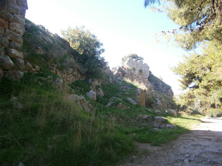 αρχαιολογικός χώρος Ασσίνης