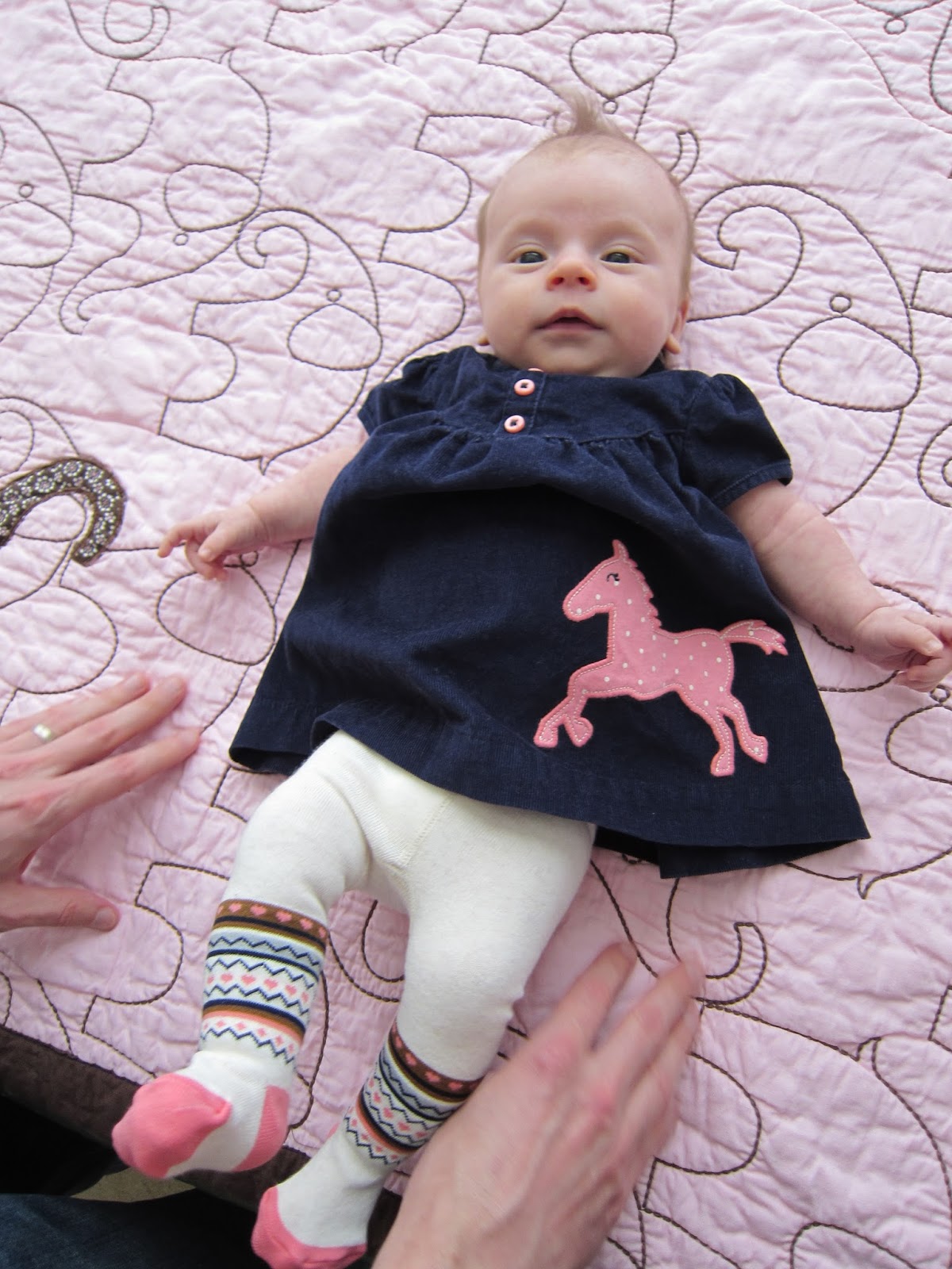 Memoirs of a Horse Girl Horsey Baby Clothes = Irresistible