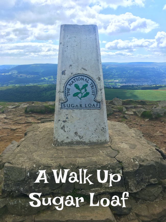 A Walk Up Sugar Loaf Teddy Bears And Cardigans