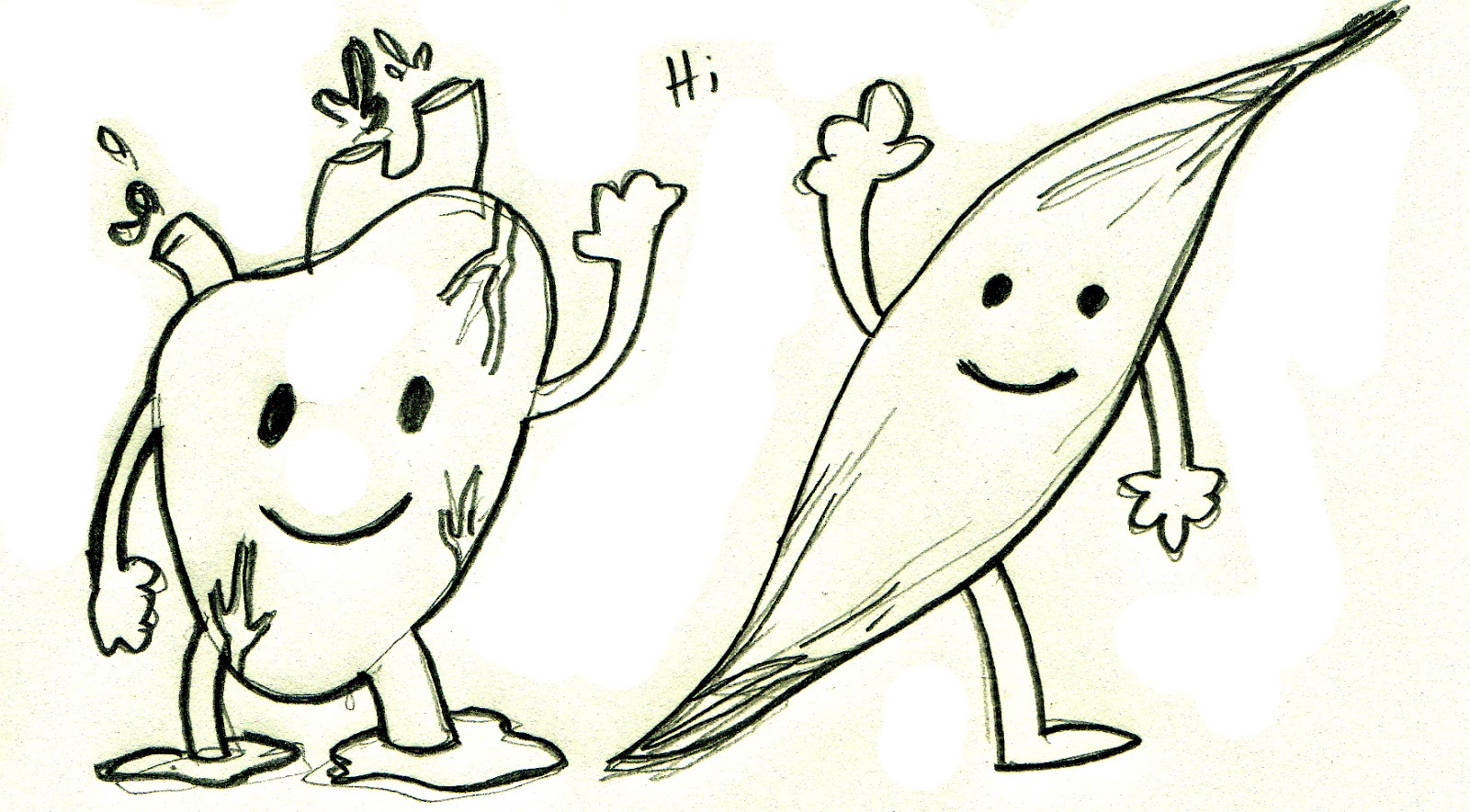 The Path You Take: A heart to muscle conversation.