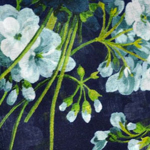 Gucci Bloom Pictures