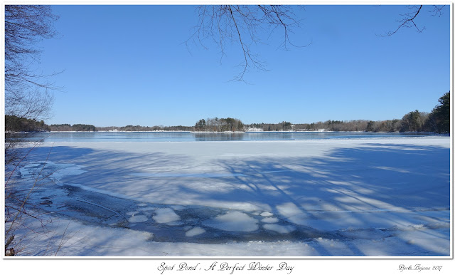 Spot Pond: A Perfect Winter Day