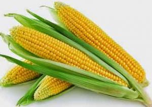 7 Manfaat Jagung Muda Untuk Kesehatan dan Kecantikan 7 Manfaat Jagung Muda Untuk Kesehatan dan Kecantikan