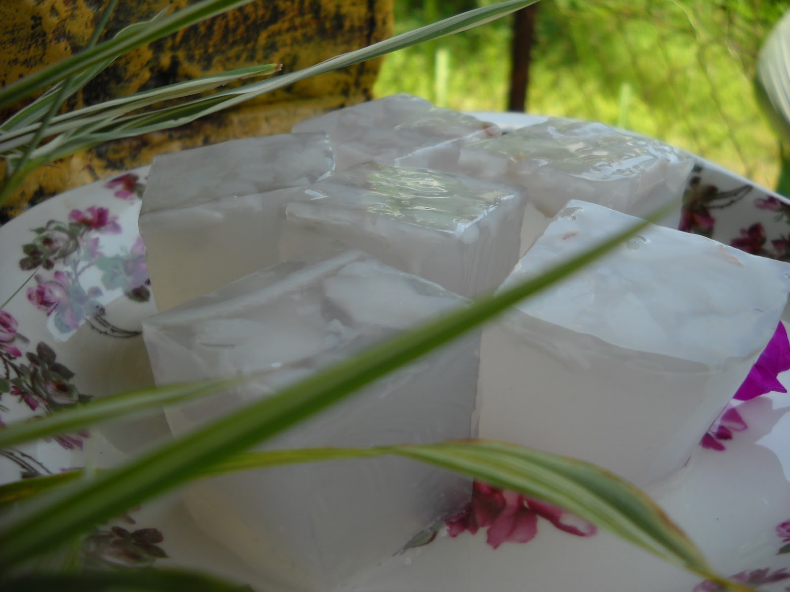Cooking with soul: KELAPA JELLY