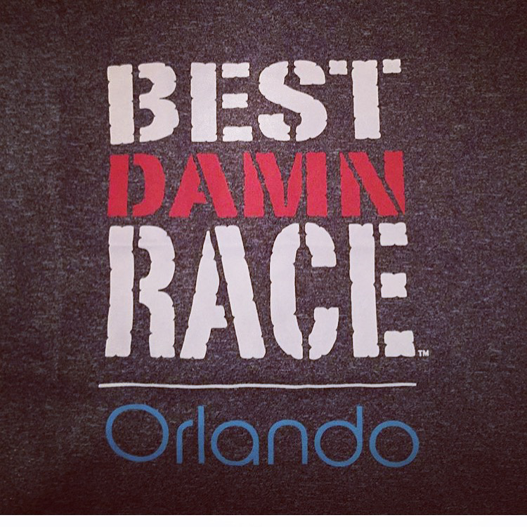 designed by Diana Best Damn Race Orlando 10k Recap