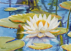 water lily painting lilies watercolor pond paintings oil taylor waterlily nature paint scene zehoriginalart floral bloom gemerkt von