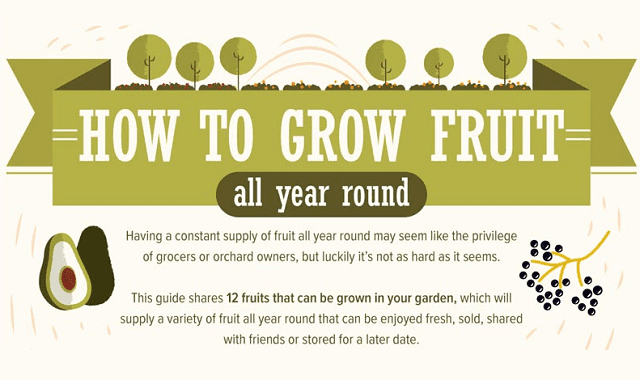 How To Grow Fruit All Year Round