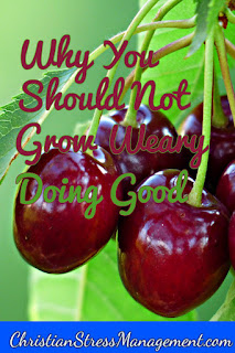Why You Should Not Grow Weary Doing Good 