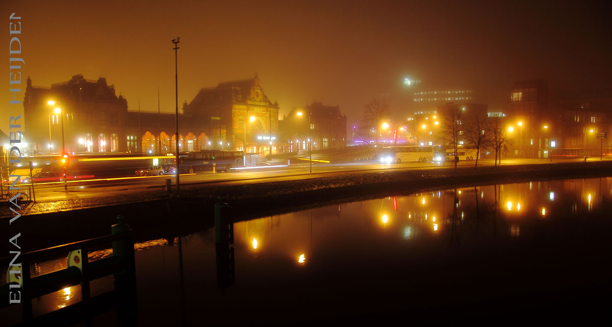 ROZEN OP MIJN PAD: Mist
