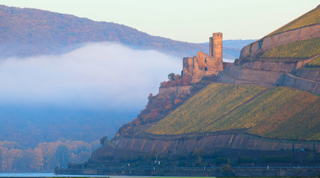 Ruinas del castillo de Ehrenfels (S. XIII) en la actualidad (Bartok Rozanski)