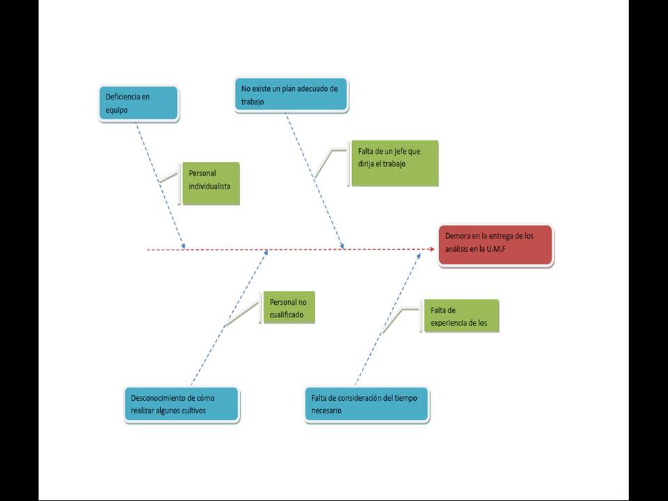 Gestión de Calidad y Ambiental: Diagrama causa efecto