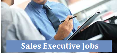 Sales Executive Jobs in India: Types, Roles and Skill Requirements