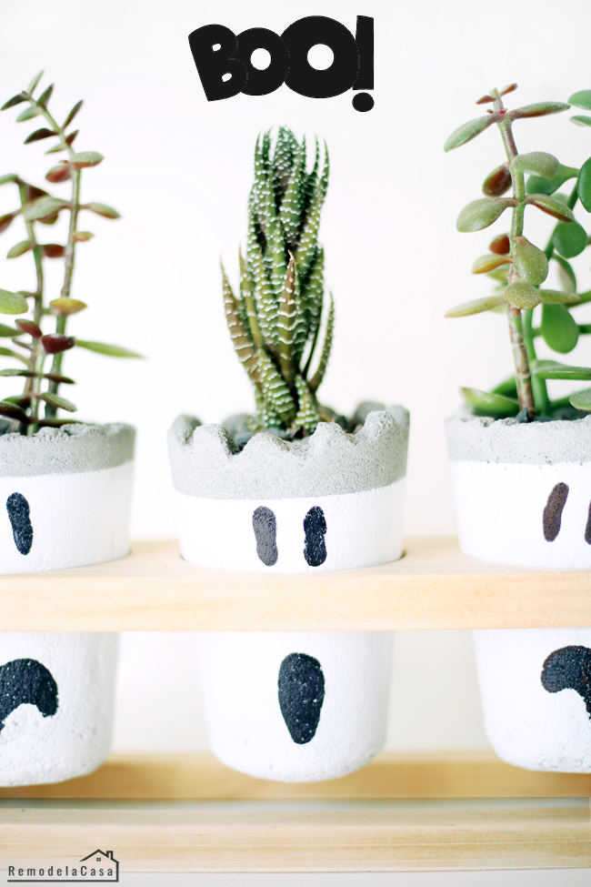 DIY - Ghost Concrete Planters - Boo! Little succulent plants on wooden stand