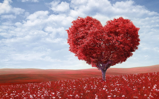 Unduh Gratis Gambar Kata-Kata Cinta Bahasa Jawa Paling Romantis Dan Artinya Terupdate by KataCinta.Co