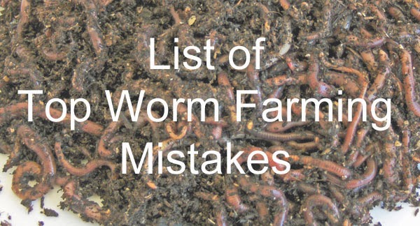 List of top worm farming mistakes and problems