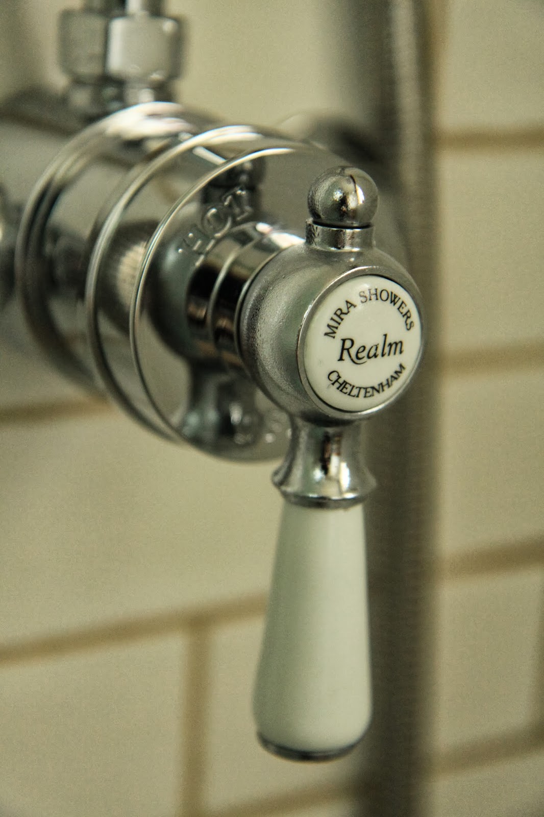 Modern Country Style The Best Shower In The World?