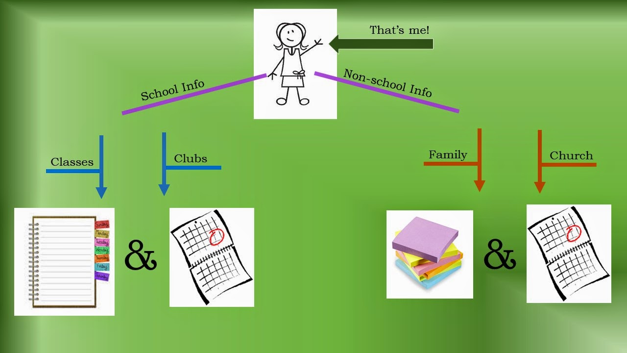 Information Science Modules
