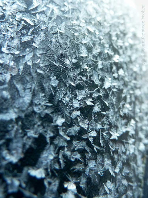 feathery ice crystals