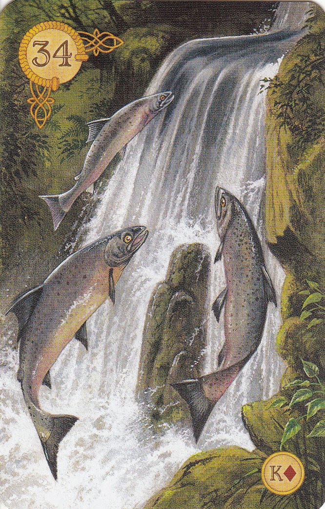 Рыбы какая карта таро