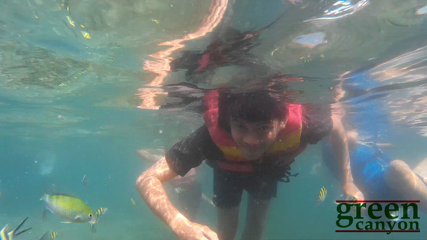 Snorkeling Pangandaran open trip green canyon pangandaran