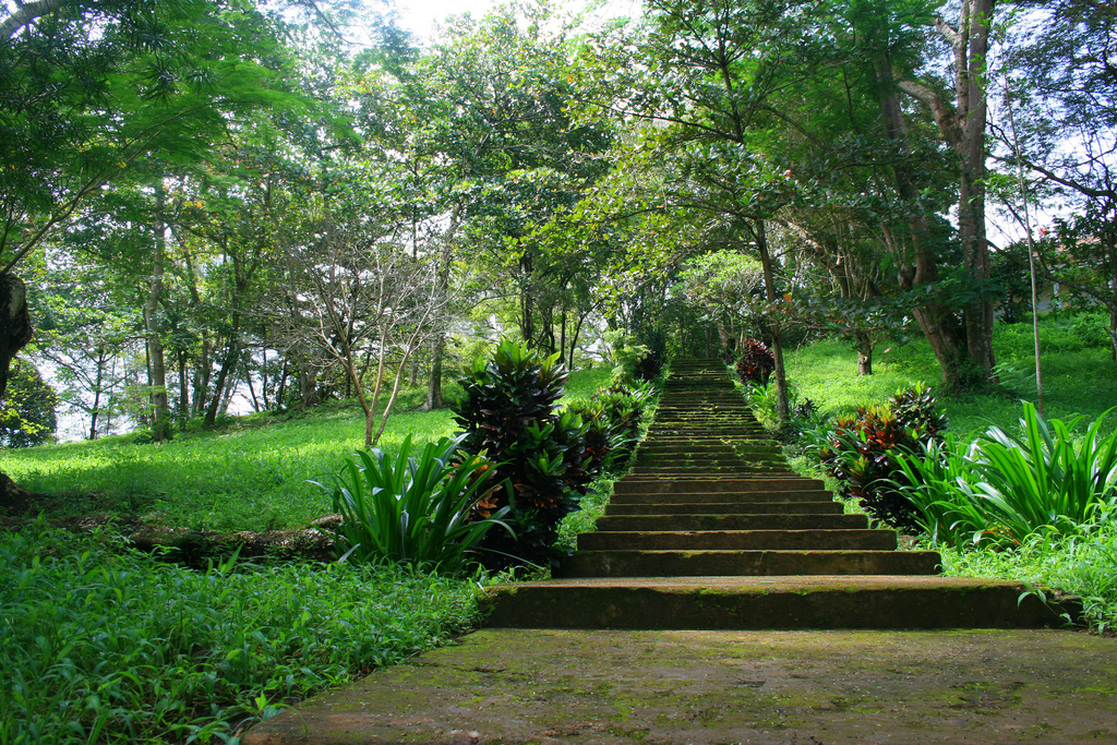 Kinh nghiệm du lịch Long Khánh, Đồng Nai: Vào vườn tham quan, hái trái cây ĂN ĐÃ THÈM