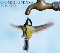 Changing Modes - 'In Flight' CD Review