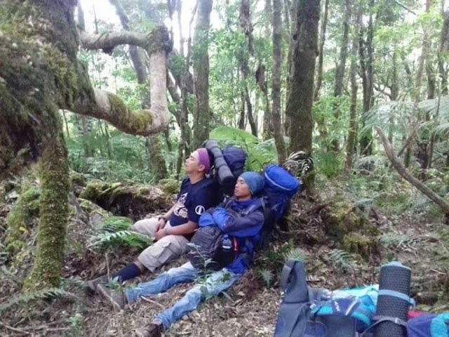 Tips Menjaga Stamina Selama Pendakian, Agar Tidak Gagal Sampai Puncak