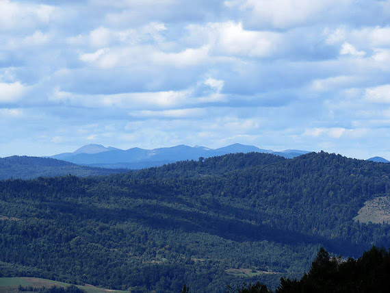 Zbliżenie na polskie Bieszczady.