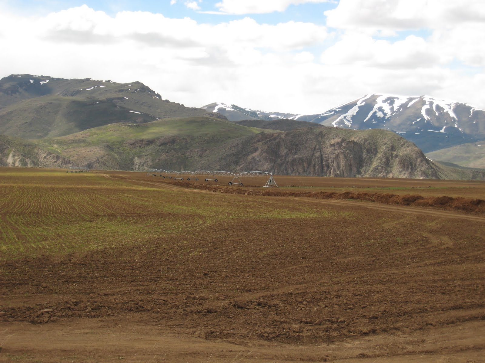 Idaho Nature Notes Flat Top Ranch Protected by Blaine County