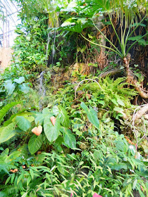 Centennial Park Conservatory waterfall tropical house by garden muses-not another Toronto gardening blog