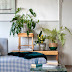 Transform Your Home & Evinizi Mavinin Tonlarıyla Dönüştürün