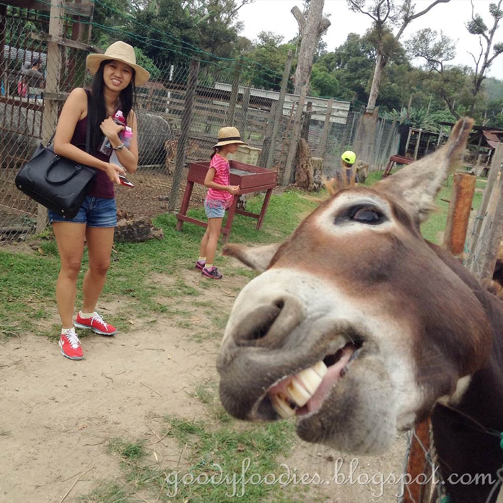 GoodyFoodies Rabbit Fun Land, Semenyih
