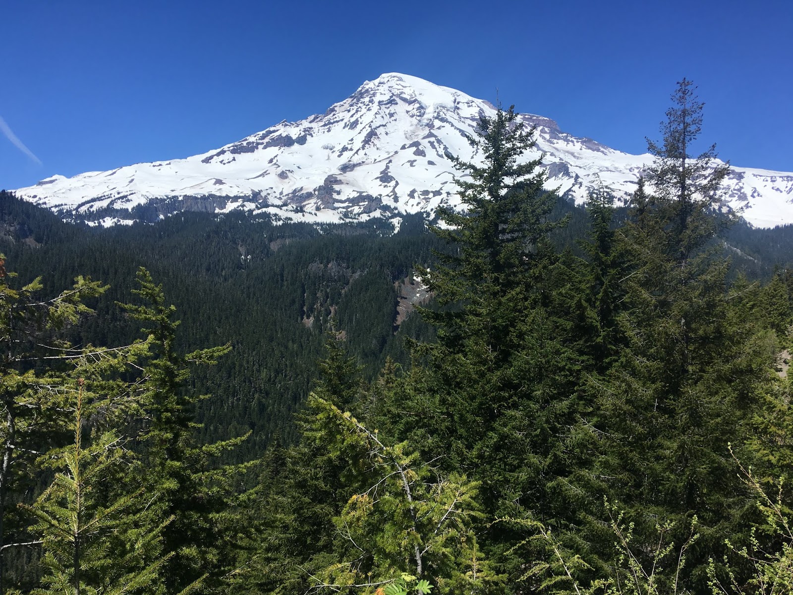 The road to Paradise; Mount Rainier National Park, Washington State