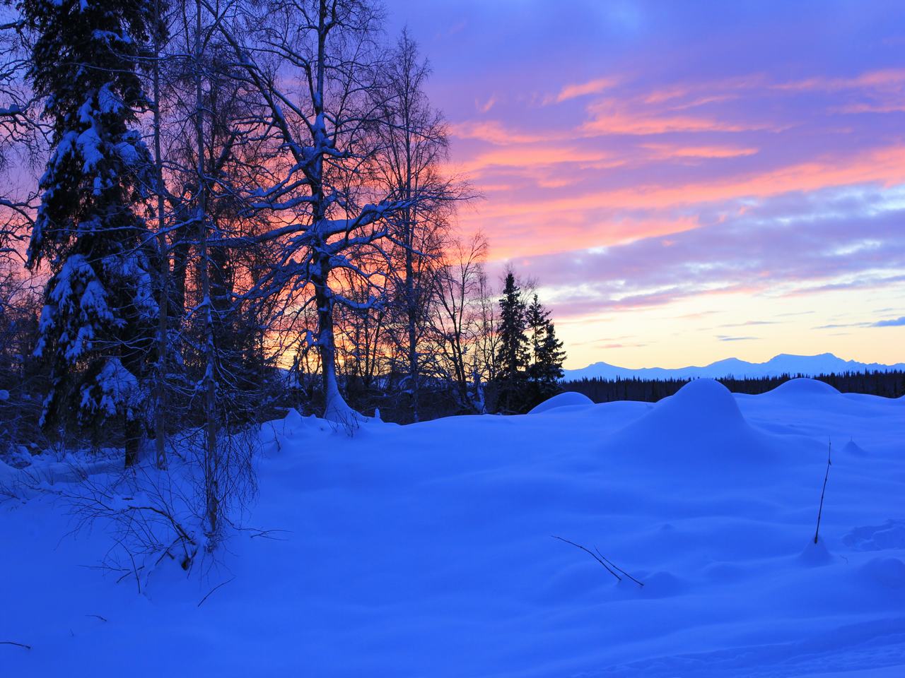 Our Life In Alaska: A December full of Events