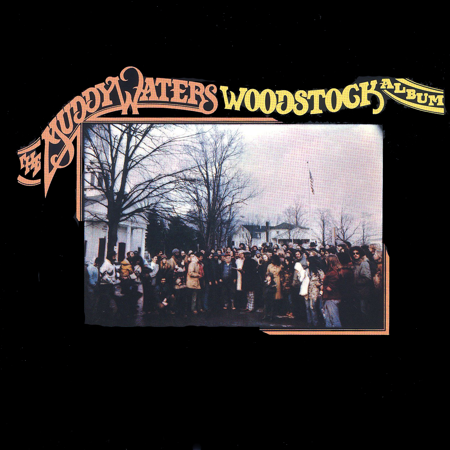 Darius, Don't You Get The Feelin: Muddy Waters - Muddy Waters Woodstock ...