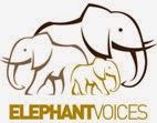 ElephantVoices