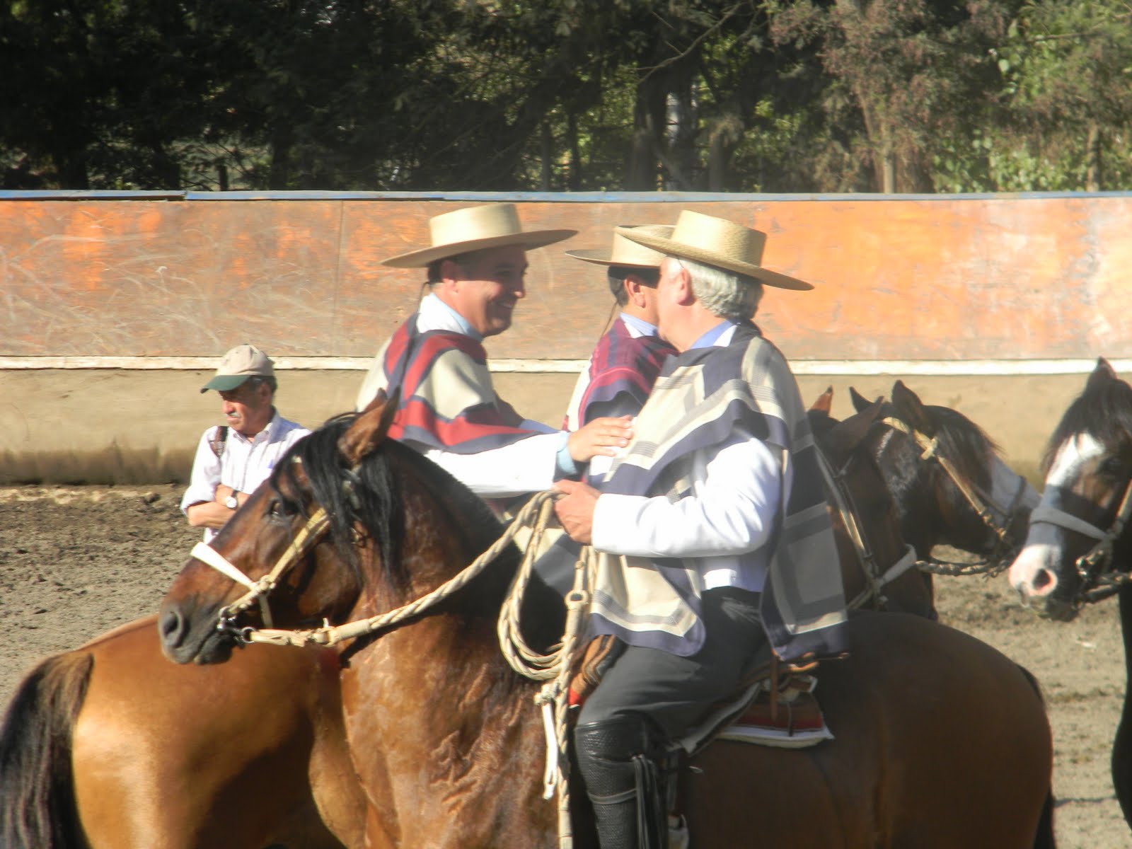 El Llano tuvo tremendo rodeo este fin de semana Largo. Diario El Arrozal