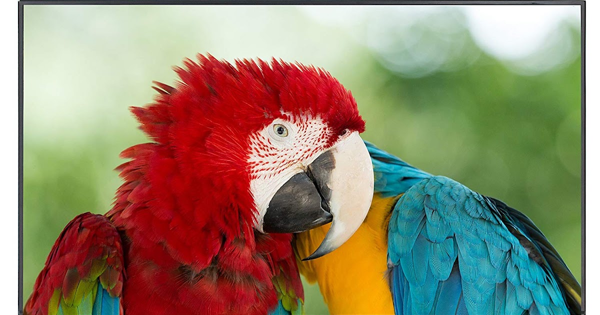 New Releases Komodo by Sceptre 43" LED HDTV 3x HDMI 2.0 HDCP 2.2, Metal