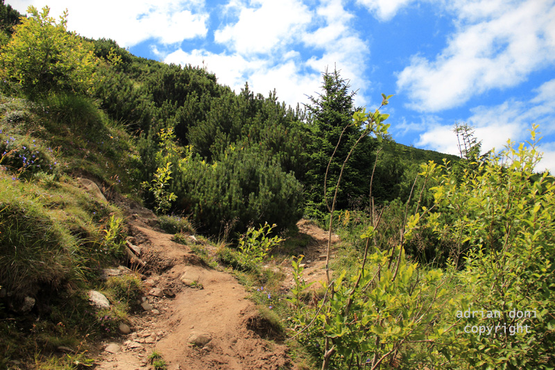 Drumetii Moldave Izvorul Muntelui Jgheabul cu Hotar Cabana Dochia